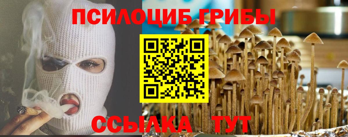 Галлюциногенные грибы мицелий Нижневартовск
