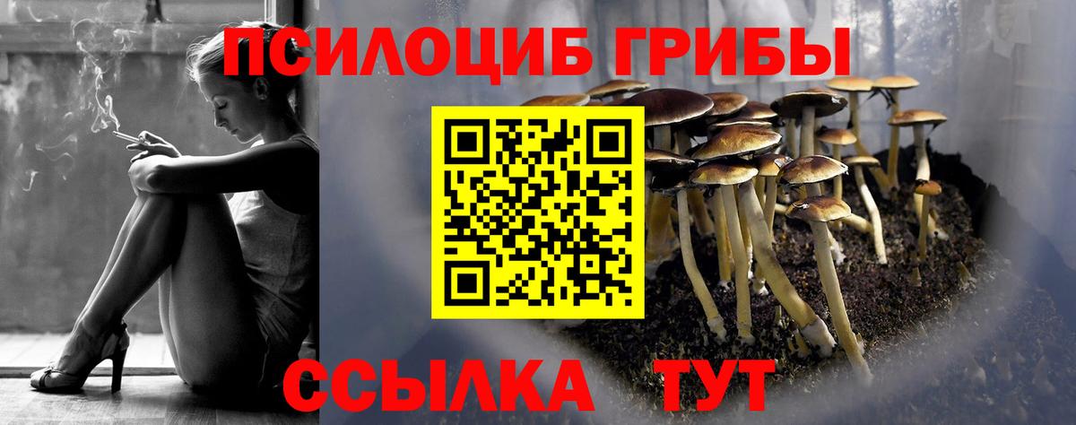 Галлюциногенные грибы Psilocybe  Псилоцибиновые грибы ЛСД  Вход с VPN  Нижневартовск 